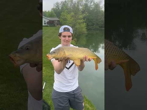 HUGE SUBMARINE RELEASE!! 💦 #shorts #fishing #reaction