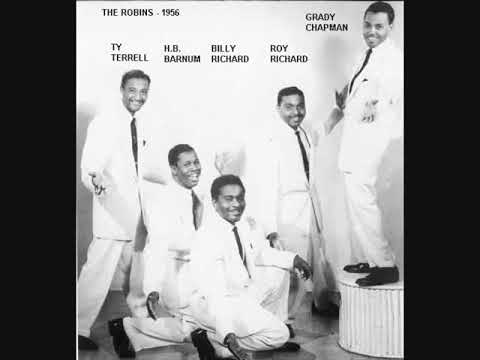 SINCE I FIRST MET YOU   - THE ROBINS