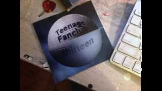 Teenage Fanclub - Weird Horses