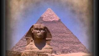 Omnimotion - Egypt