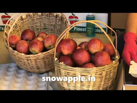Snow apple packaging - shipping direct from orchards to your home