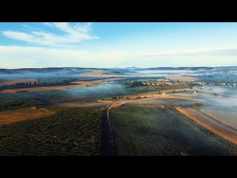 Čejč - Jižní Morava (DJI Mavic Mini & BMPCC4K)