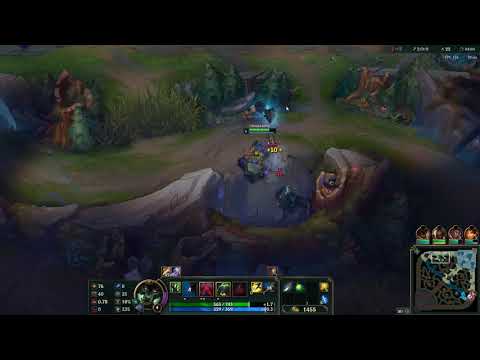 Warwick Starter Guide - Beginner (Commentary)