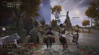 エルデンリング　精神崩壊前夜