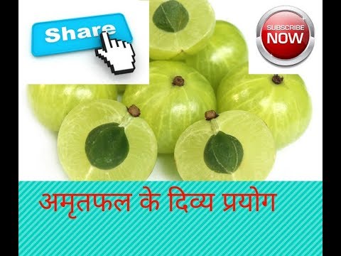 अमृत फल आंवला के दिव्य प्रयोग क्या जानते है आप /indian gooseberry health benefits in ayurveda Video