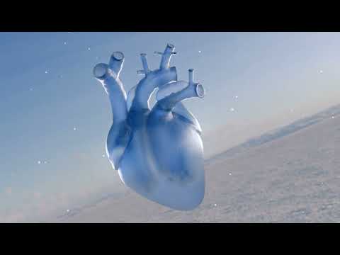 "CORAÇÃO FRIO" - Mc Dena ( DJ Glenner & FEPACHE )