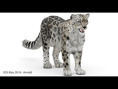 Snow Leopard 3D Model - 360 View | PROmax3D