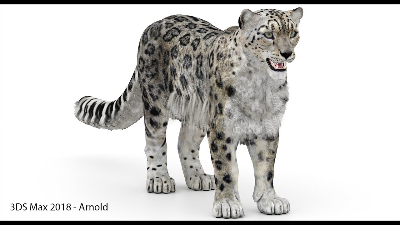 Snow Leopard Polygonal Hairs 3D Model