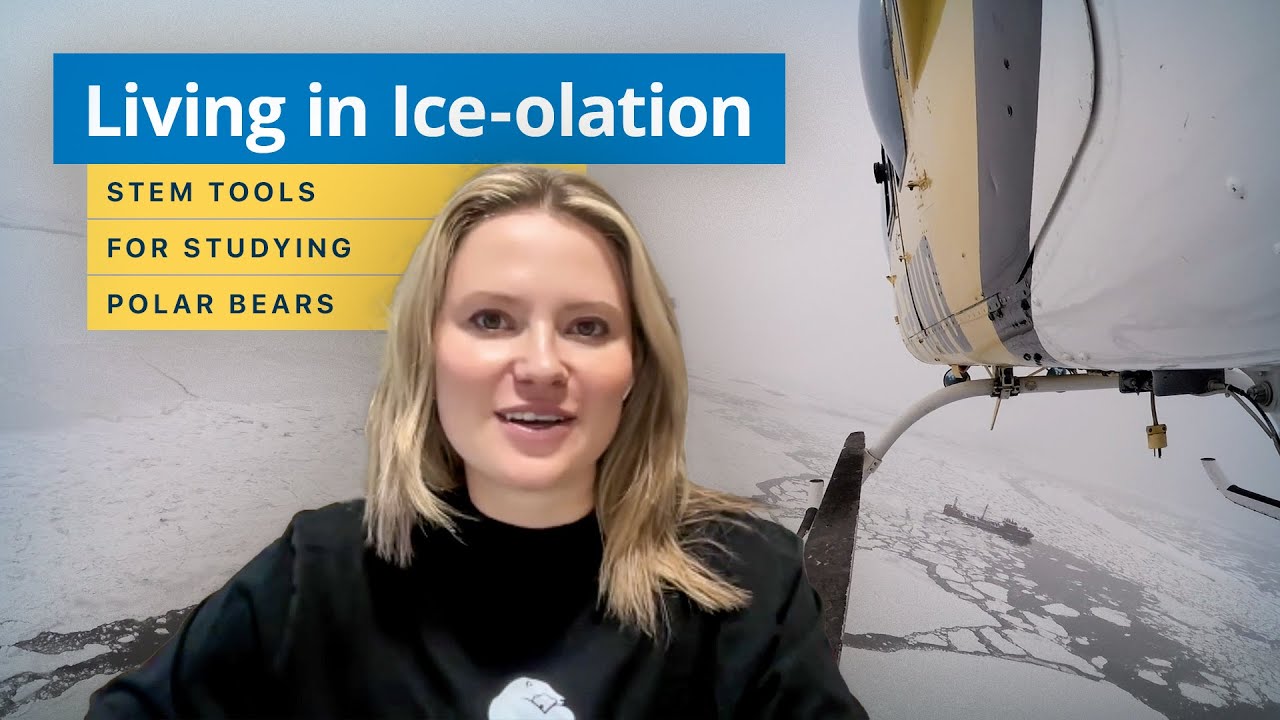 Living in Ice-olation — STEM Tools for Studying Polar Bears | Tundra Connections 2025