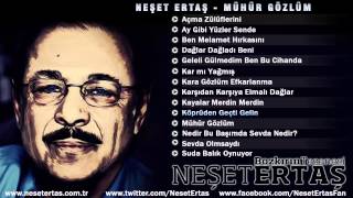 Neşet Ertaş - Köprüden Geçti Gelin