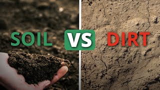 What Makes Soil Healthy? | Soil Food Web School