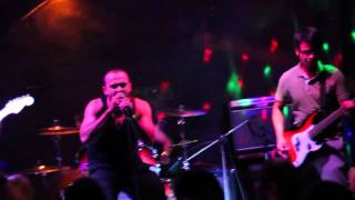 Alegría Navarra | Alcaldía Punk III | Socios a la Fuerza | Tributo La Polla Records