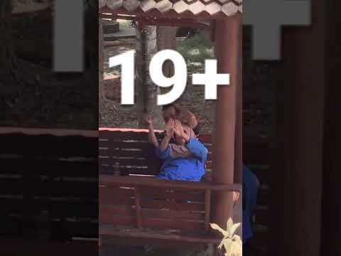 NO SENSOR