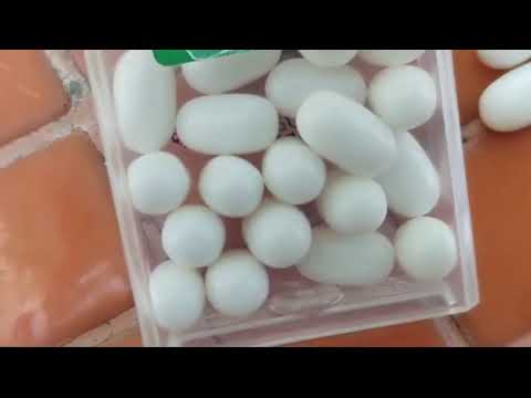 Saturn Magic - Candy Vault by André Previato and Kenneth Costa