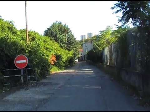 L'impasse Gorge du Loup (2010) dans "Lyon, autopsie d'une grande ville" de Gérard Courant