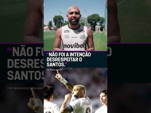 O GABIGOL SE PRONUNCIOU SOBRE SANTOS, CRUZEIRO E FLAMENGO! 🚨🐋 #shorts