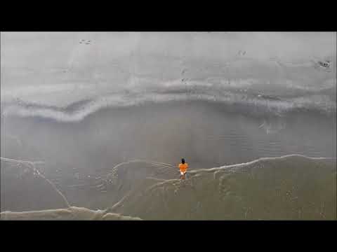Galveston Beach - Houston