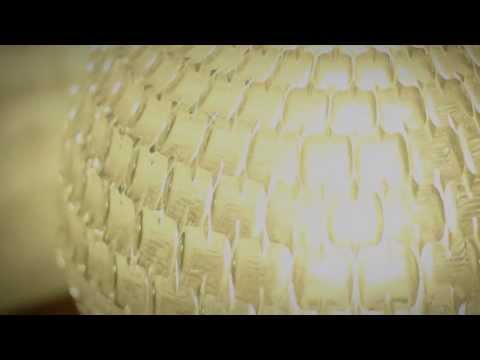 Reinventing Truth is Fanatic 2