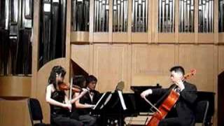 Dvorak - Piano Trio Op. 26, Allegro