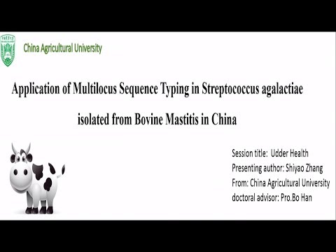 Application of Multilocus Sequence Typing in Streptococcus agalactiae isolated from Bovine Mastitis