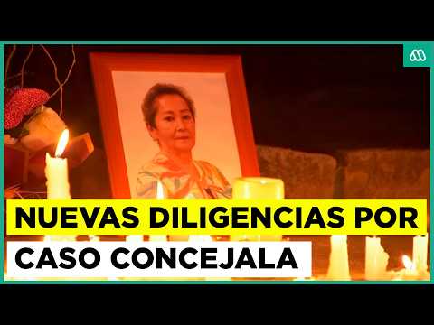 A casi un año de su desaparición: nuevas diligencias por caso concejala de Villa Alegre