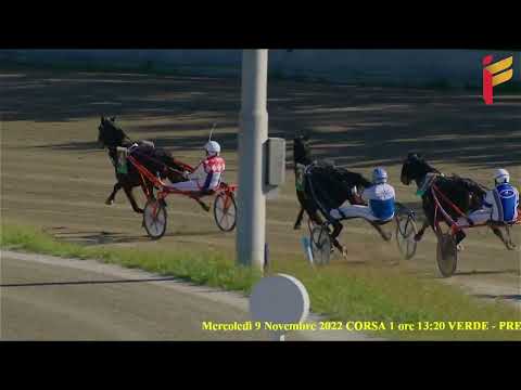 I Corsa del 9 novembre 2022 - 2 Anni - Metri 1600 - Gara centrale