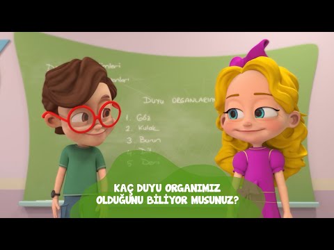 Pırıl - Duyu Organlarımız Şarkısı
