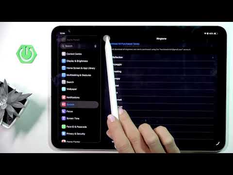 iPad Pro 11 2025 – How to Change Ringtone