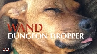 Wand &quot;Dungeon Dropper&quot; (Official Audio)