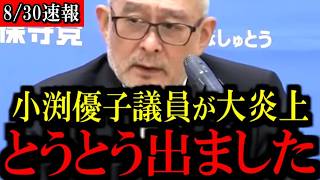 【炎上】小渕優子氏が消費税減税に猛反対…真実をお話しします...【百田尚樹/有本香/島田洋一/北村晴男/日本保守党】