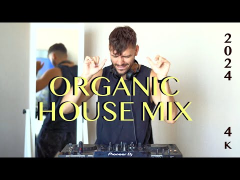 polyansky - deep organic house mix 2024 (4k)
