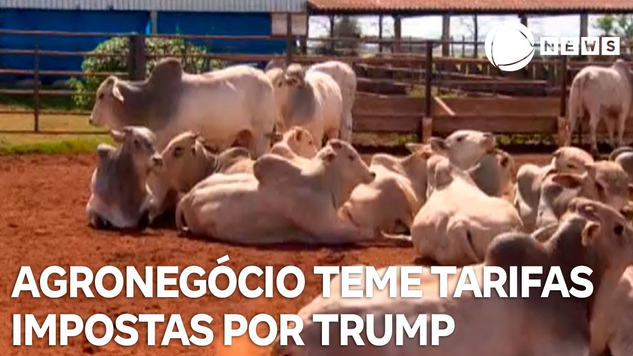 Agronegócio teme implantação de novas tarifas do governo Trump