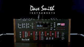 Video thumbnail for Dave Smith Instruments Prophet 12 Desktop Synthesizer Module | Gear4music demo by Gear4music Guitars