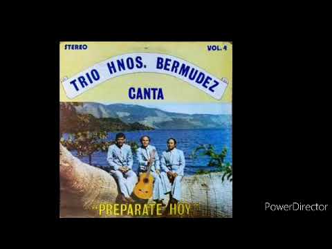 ANSIANDO VOY SEÑOR TRÍO HERMANOS BERMUDEZ