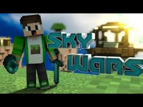 СКАЙ ВАРС (3 КАТКИ)