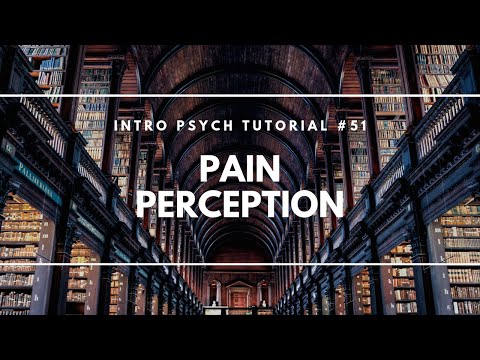 Introduction to Sensation and Perception Intro Psych Tutorial 40