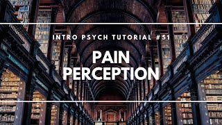Pain Perception (Intro Psych Tutorial #51)