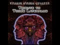 The Grudge - Vitamin String Quartet Performs Tool's Lateralus