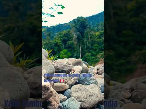 río azata ,sandia , puno, perú 🇵🇪🌎 va  tambopata .#selvatropical