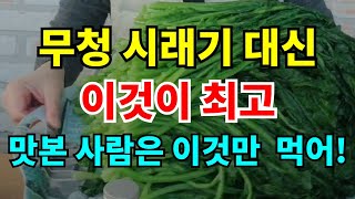 무청시래기보다 이것이 부들부들 야들야들 맛있어요 / 기상천외한 방법으로 시래기 만들어요