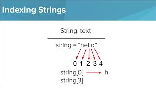 Hour of Code- Punnet Squares 2- Positioning Allele Valeus