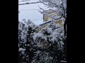 Woke up to a winter wonderland in Hiroshima