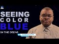 Seeing Colour Blue Dream Meaning I Evangelist Joshua Ministries