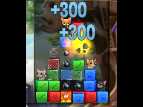 Pet Rescue Saga Level 5363 x2 no boosters