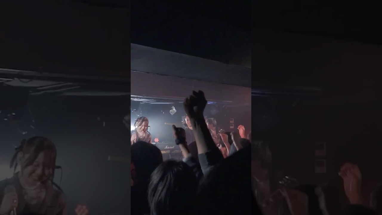 こういう曲もやります🎸 #ライブ #インディーズバンド #Odd