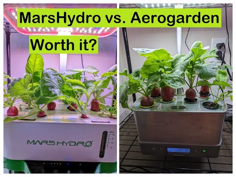 MarsHydro Vs. Aerogarden, review, grow radishes, pros and cons, worth it?