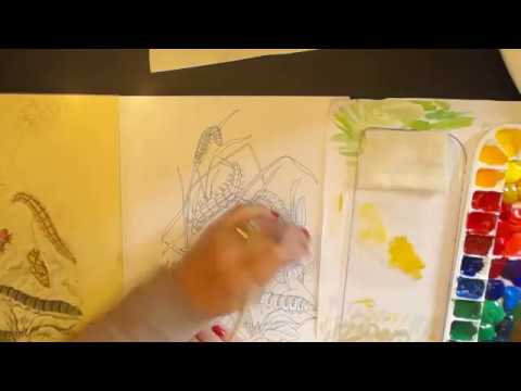 the beauties of nature colour book in gouache