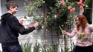 Yin Yang - Jarabe De Palo