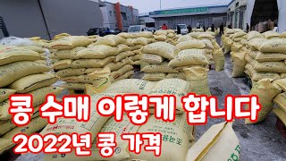 콩 수매 과정 가격 메주콩 대원콩 선풍