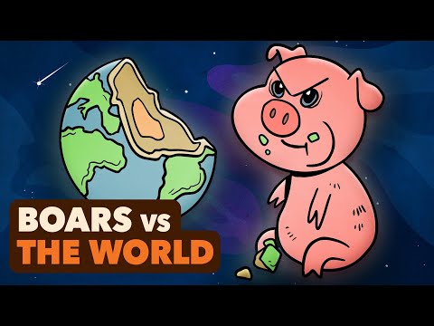 Pigs: History's Greatest Villains? - World History - Extra History